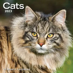 Cats 2023 Wall Calendar #15302