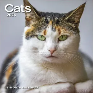 Cats 2024 Wall Calendar #993264