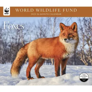 Foxes WWF 2023 Wall Calendar
