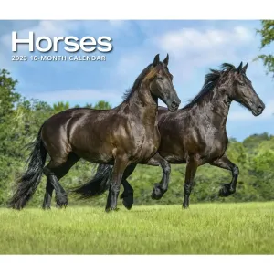 Horses Deluxe 2023 Wall Calendar