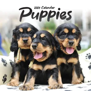 Puppies 2024 Wall Calendar #970921