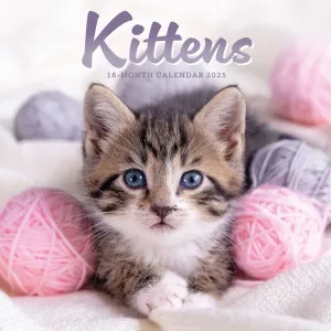 Kittens 2025 Mini Wall Calendar