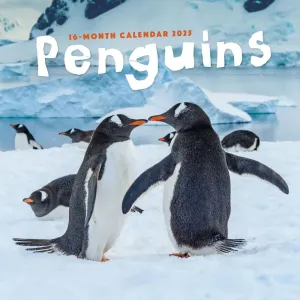 Penguins 2025 Wall Calendar #1339112
