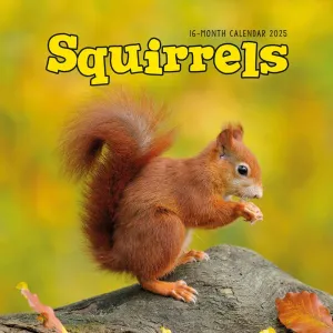 Squirrels 2025 Wall Calendar