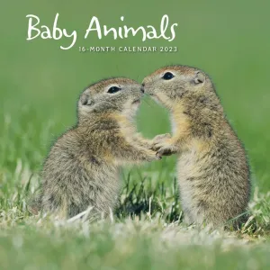 Baby Animals 2023 Wall Calendar #19340
