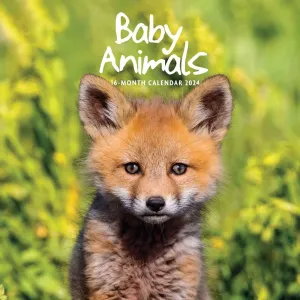 Baby Animals 2024 Wall Calendar #869815