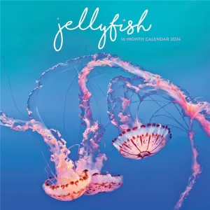 Jellyfish 2024 Wall Calendar #1017814