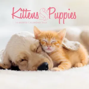 Kittens & Puppies 2023 Mini Wall Calendar