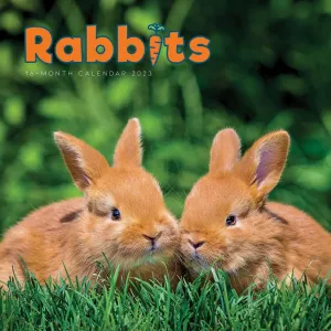 Rabbits 2023 Wall Calendar