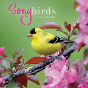 Songbirds 2023 Wall Calendar #17196