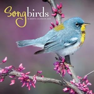 Songbirds 2024 Wall Calendar #869666