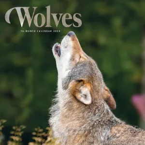 Wolves 2024 Wall Calendar #861280
