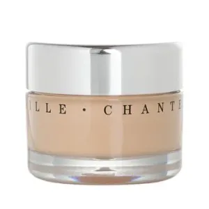 ChantecailleFuture Skin Oil Free Gel Foundation - Porcelain 30g/1oz