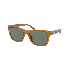 Coach Fashion Men's Sunglasses #1261512