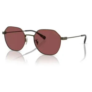 Coach Fashion Men's Sunglasses #1324680