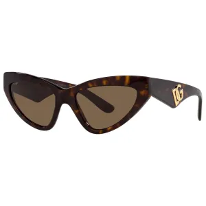 Dolce and Gabbana Dark Brown Cat Eye Ladies Sunglasses DG4439 502/73 55