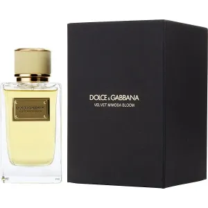 Dolce & Gabbana - Velvet Mimosa Bloom : Eau De Parfum Spray 5 Oz / 150 ml