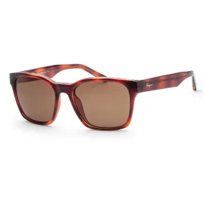 Ferragamo Fashion Women's Sunglasses #414296