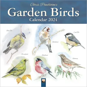Pendleton Birds 2024 Wall Calendar