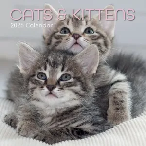 Cats and Kittens 2025 Wall Calendar