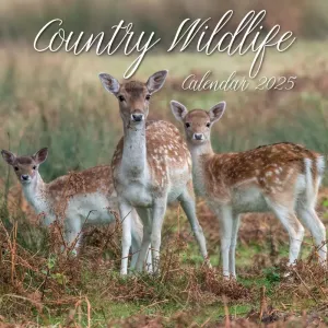 Country Wildlife 2025 Wall Calendar