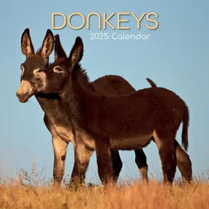 Donkeys 2025 Wall Calendar #1294126