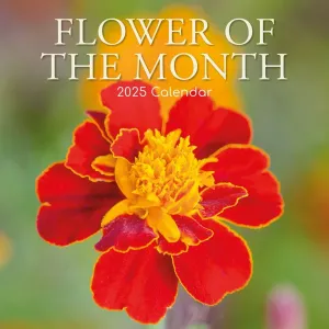 Flower of the Month 2025 Wall Calendar