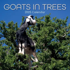 Goats in Trees  2025 Wall Calendar
