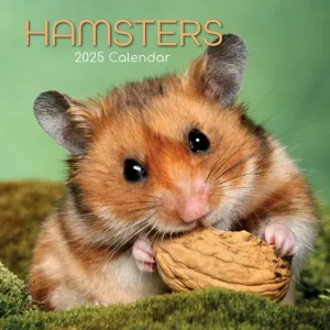 Hamsters 2025 Wall Calendar #1294680