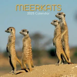 Meerkats 2025 Wall Calendar #1294670