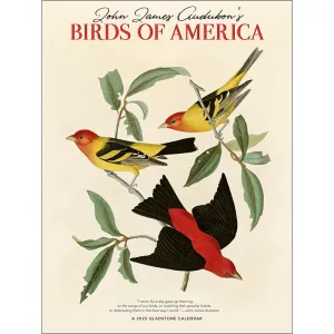 Audubon Birds of America 2025 Wall Calendar