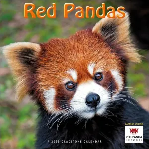 Red Pandas 2025 Wall Calendar