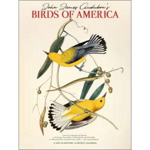 Audubon Birds of America 2023 9x12 Narrow Wall Calendar
