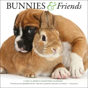 Bunnies and Friends 2023 Wall Calendar