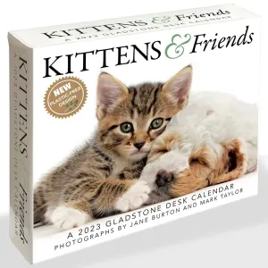 Kittens and Friends 2023 Desk Calendar