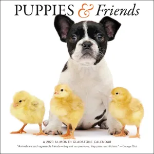 Puppies & Friends 2023 Wall Calendar