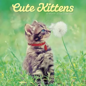Kittens Cute ASPCA 2024 Wall Calendar
