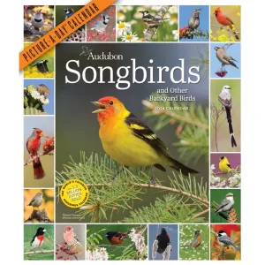 Audubon 365 Songbirds 2024 Wall Calendar