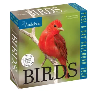 Audubon Birds 2024 Desk Calendar