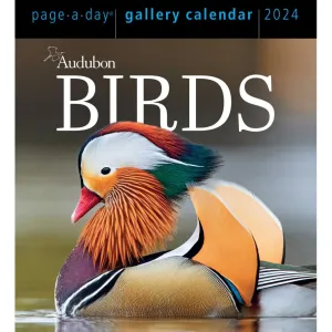 Audubon Birds Gallery 2024 Desk Calendar