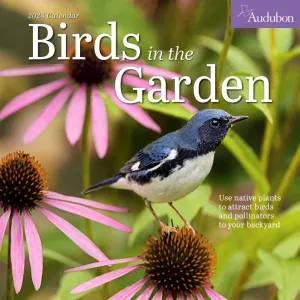 Audubon Garden Birds 2024 Wall Calendar