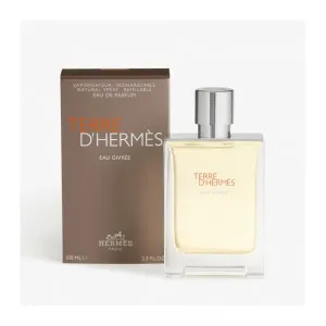 Hermès - Terre D'Hermès Eau Givrée : Eau De Parfum Spray 3.4 Oz / 100 ml