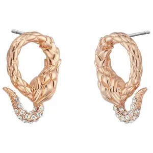 Just Cavalli Fashion Women's Earring #1223182
