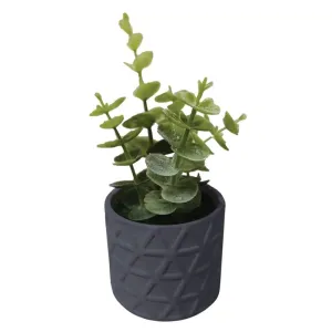 Gilded Wine Charcoal Faux Succulent