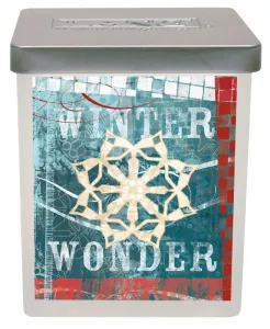 Winter Wonder 23.5 oz. Candle by Artly