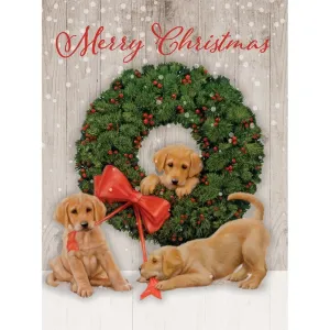 Wonder and Joy Boxed Christmas Cards (18 pack) w/ Decorative Box by Jim Lamb
