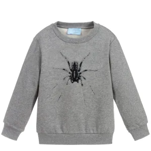 Lanvin Paris Boys Spider Sweatshirt Grey 10Y