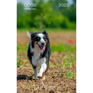 DOGS 2023 3 x 5 WEEKLY SPIRAL DIARY