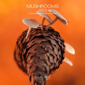 Mushrooms 2023 Wall Calendar