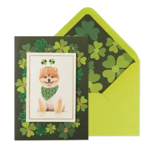 Pomeranian St. Patrick's Day Card